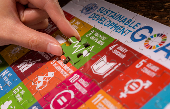 14-year-old Student Radha Mehta to Initiate Social Network for UN Sustainable Development Goals Impa